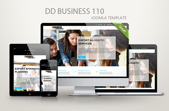 Joomla Template: DD Business 110